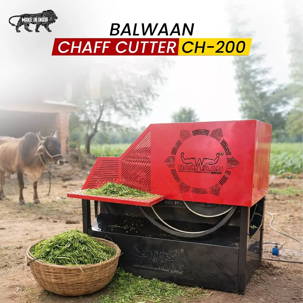 balwaan-chaff-cutter-1440-rpm-speed-500-600-kgh-production-capacity-2hp-single-phase-motor-ch-200