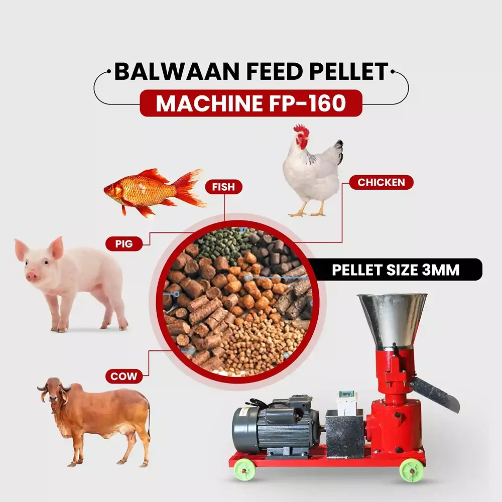 balwaan-feed-pellet-machine-5-hp-3-roller-system-100-130-kgh-productivity-3-to-8-mm-pellet-size-fp-160