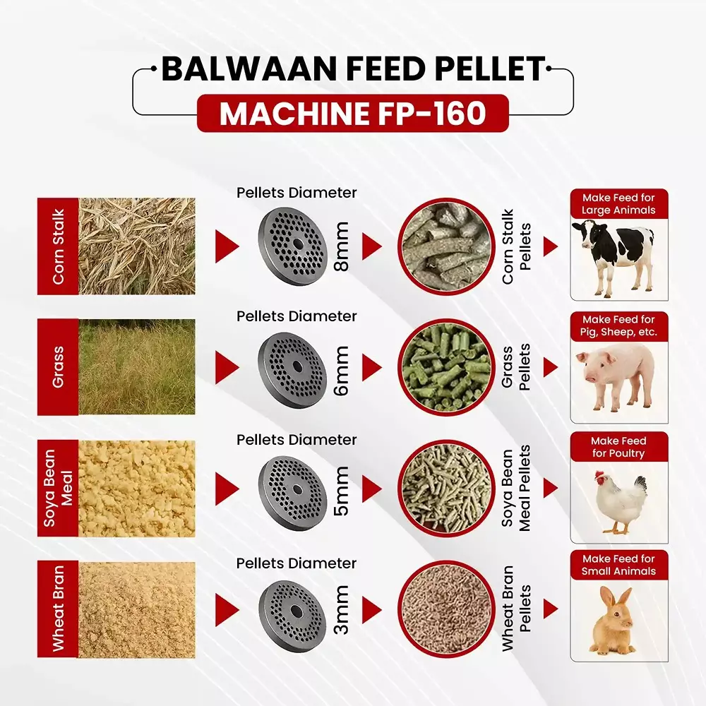 balwaan-feed-pellet-machine-5-hp-3-roller-system-100-130-kgh-productivity-3-to-8-mm-pellet-size-fp-160