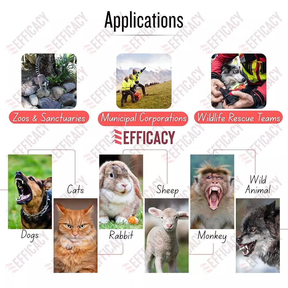 EFFICACY Animal Catcher Net Fixed Net Tear-Resistant Metal Frame Ergonomic Non-Slip Black