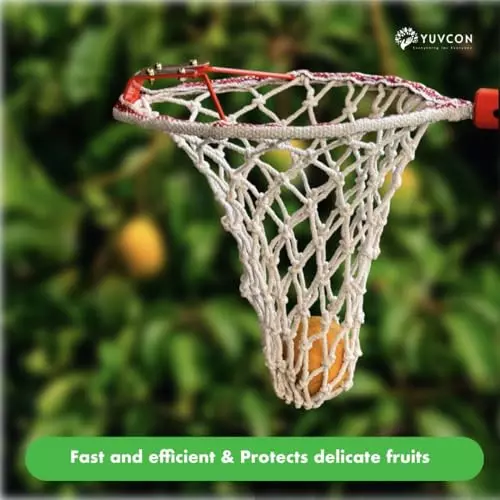 yuvcon-mango-harvester-fruit-picker-with-cushioned-basket-and-net-for-easy-fruit-harvesting