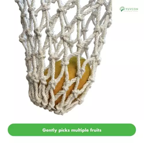 yuvcon-mango-harvester-fruit-picker-with-cushioned-basket-and-net-for-easy-fruit-harvesting