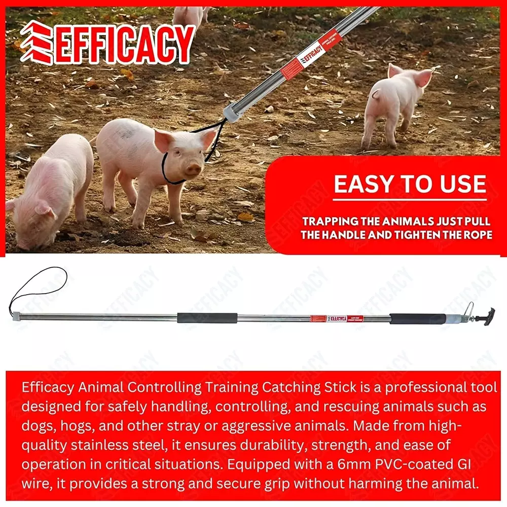 EFFICACY Animal Catcher Pole 6 mm Wire Dia. 1.5 m Automatic Lock Stainless Steel
