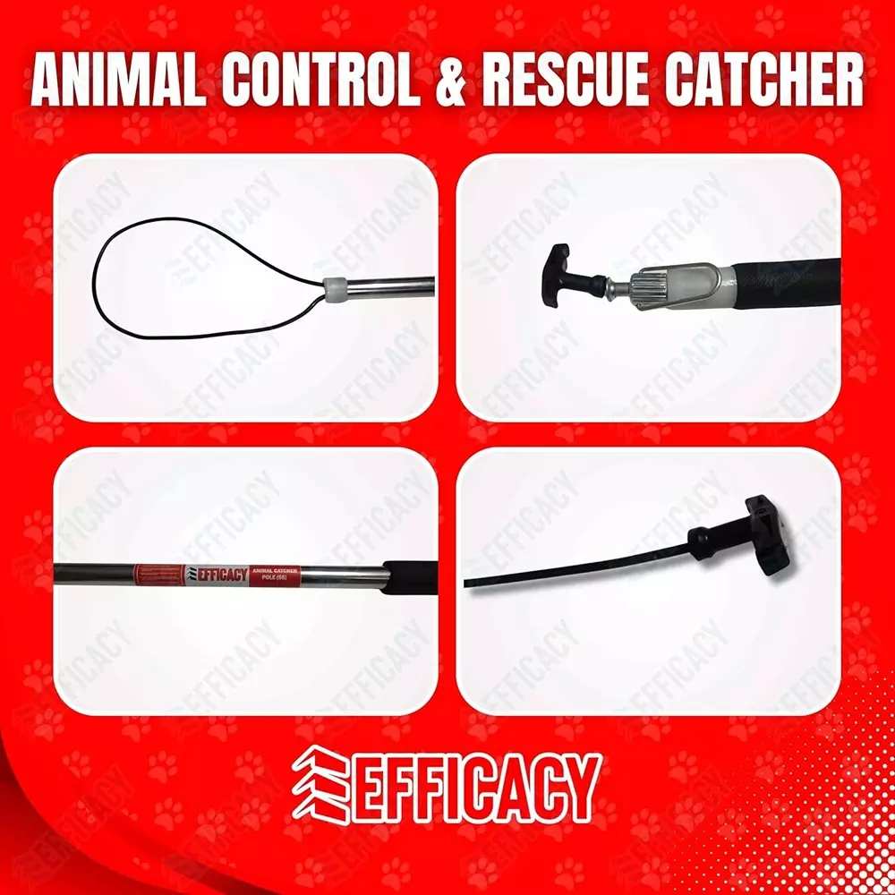 EFFICACY Animal Catcher Pole 6 mm Wire Dia. 1.5 m Automatic Lock Stainless Steel