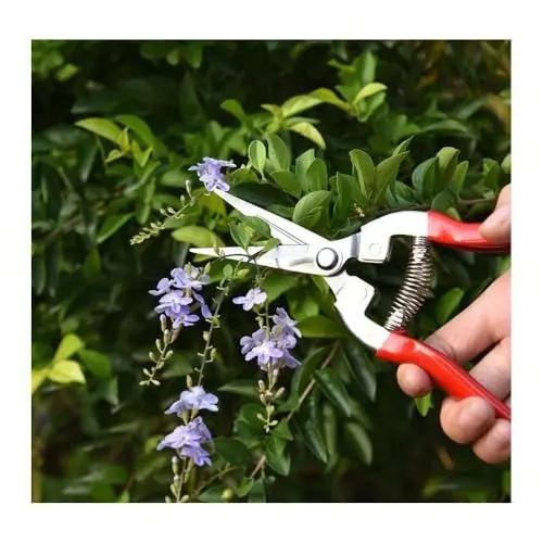 generic-garden-pruning-shears-stainless-steel-hand-pruner-bonsai-flower-cutting-scissor