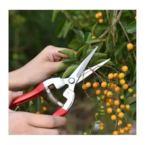 generic-garden-pruning-shears-stainless-steel-hand-pruner-bonsai-flower-cutting-scissor