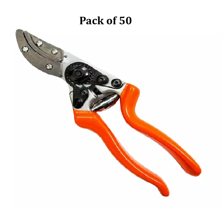 Falcon Cut & Hold Secateur Steel Silver & Orange 21 cm Length PVC Grip for Gardening & Agricultural Use, FCHS-903 (Pack of 50 Pcs)