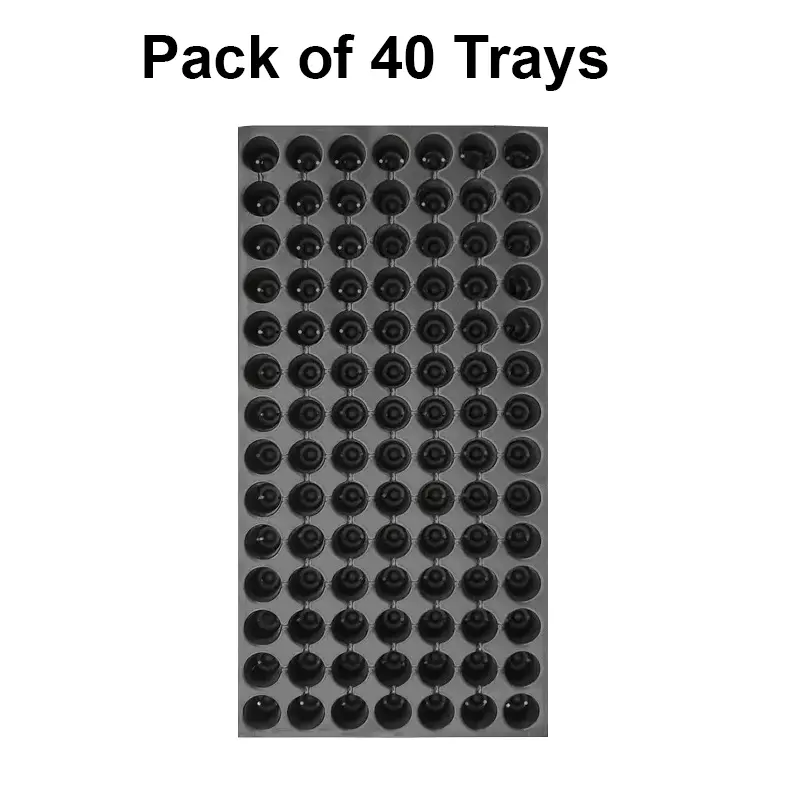 singhal-seedling-tray-high-density-reusable-plastic-eco-friendly-98-holes-black-pack-of-40-trays
