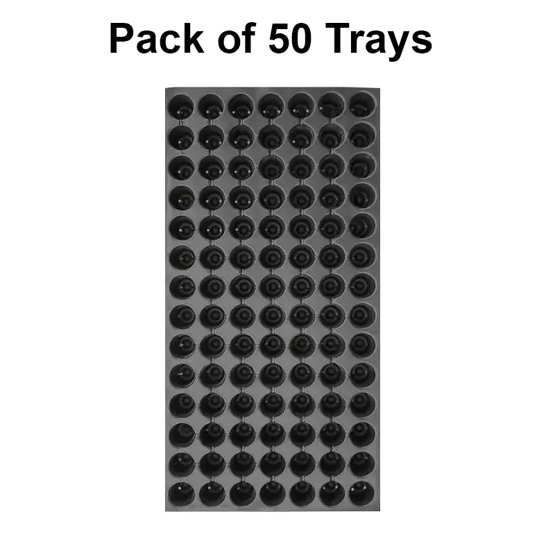 singhal-seedling-tray-high-density-reusable-plastic-eco-friendly-98-holes-black-pack-of-50-trays