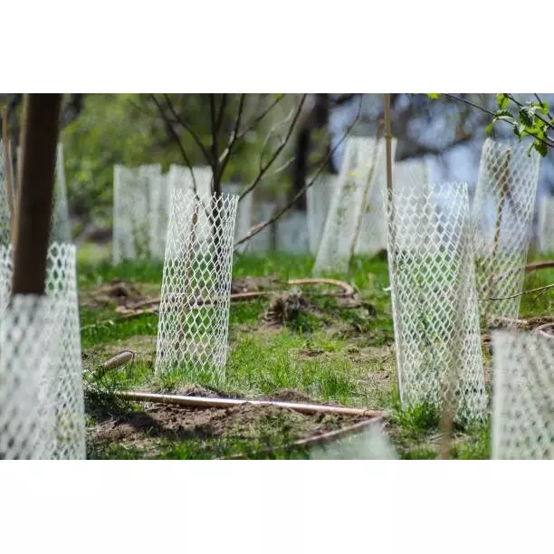 singhal-tree-guard-net-uv-stabilized-hdpe-4x50-ft-size-with-cutter-pvc-tie-locks-white
