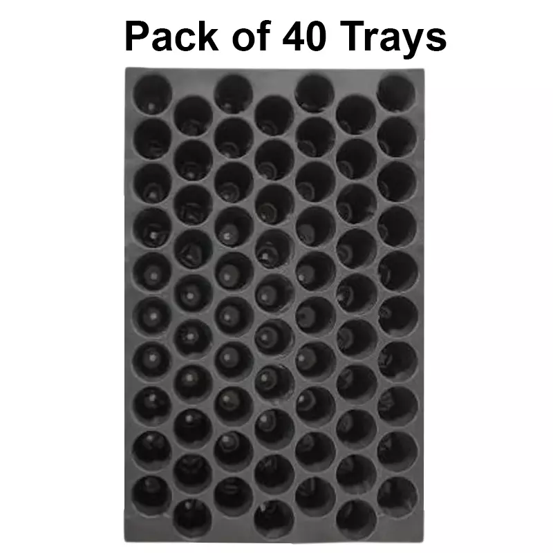 singhal-seedling-tray-high-density-reusable-plastic-eco-friendly-70-holes-black-pack-of-40-trays