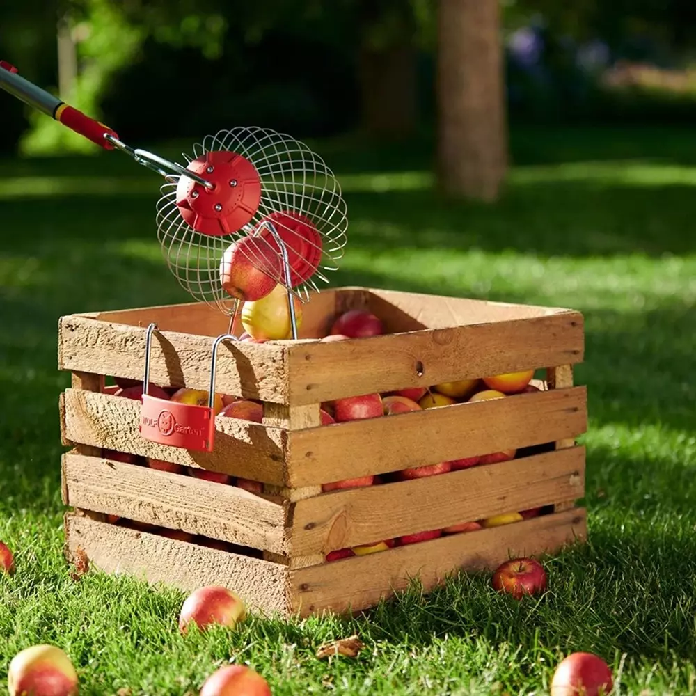 wolf-garten-fruit-collector-with-wooden-handle-multi-star-red-silver-brown-color-and-47-cm-head-size-71aam007650