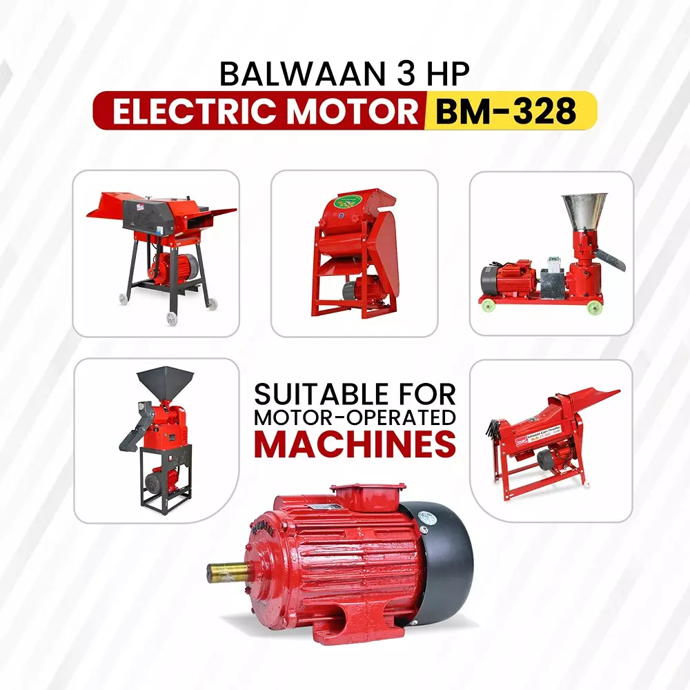 balwaan-motor-black-red-for-farming-gardening-bm328