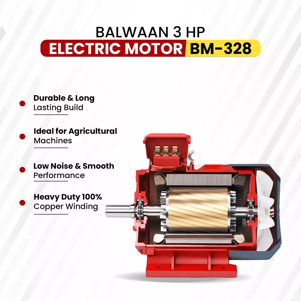 balwaan-motor-black-red-for-farming-gardening-bm328