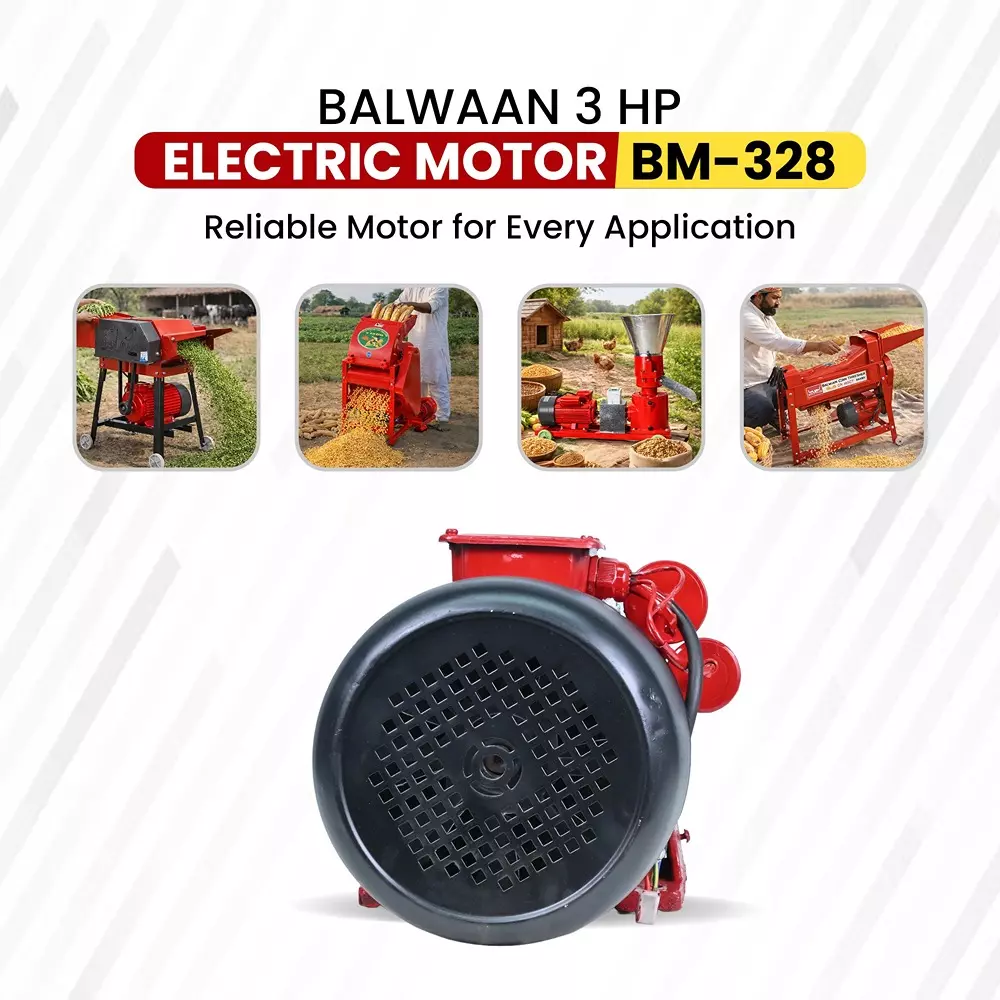 balwaan-motor-black-red-for-farming-gardening-bm328