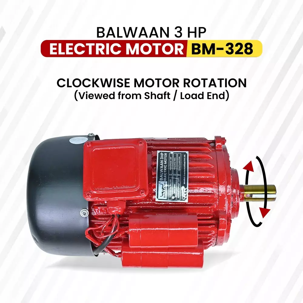 balwaan-motor-black-red-for-farming-gardening-bm328