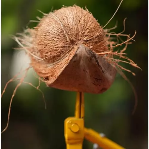 gurudatta-coconut-dehusker-naral-solni-machine-with-protective-cap-and-rust-resistant-iron-body