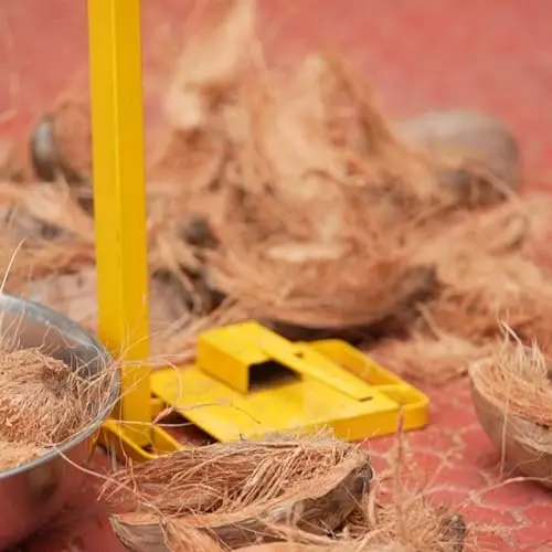 gurudatta-coconut-dehusker-naral-solni-machine-with-protective-cap-and-rust-resistant-iron-body