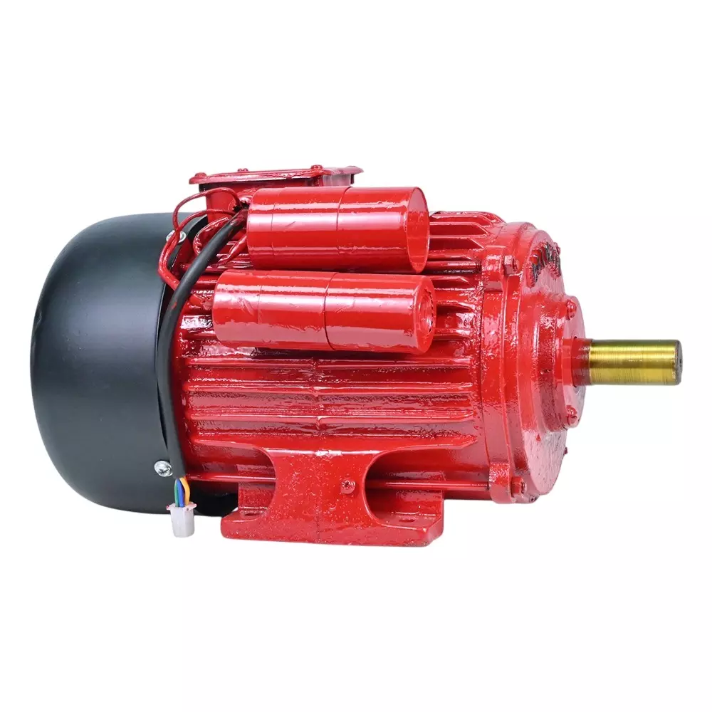 Balwaan Electric Motor Copper Winding 1 HP Power for Farming & Gardening, MT10i