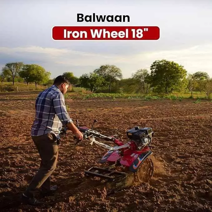 balwaan-wheel-black-red-for-farming-gardening-iw18d