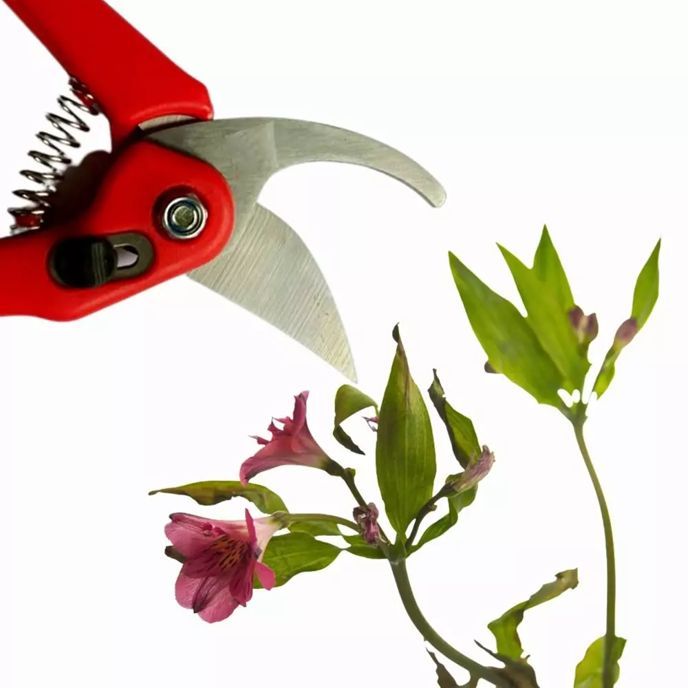 yuvcon-garden-pruner-stainless-steel-with-safety-lock-and-replaceable-spring-flower-cutter-red