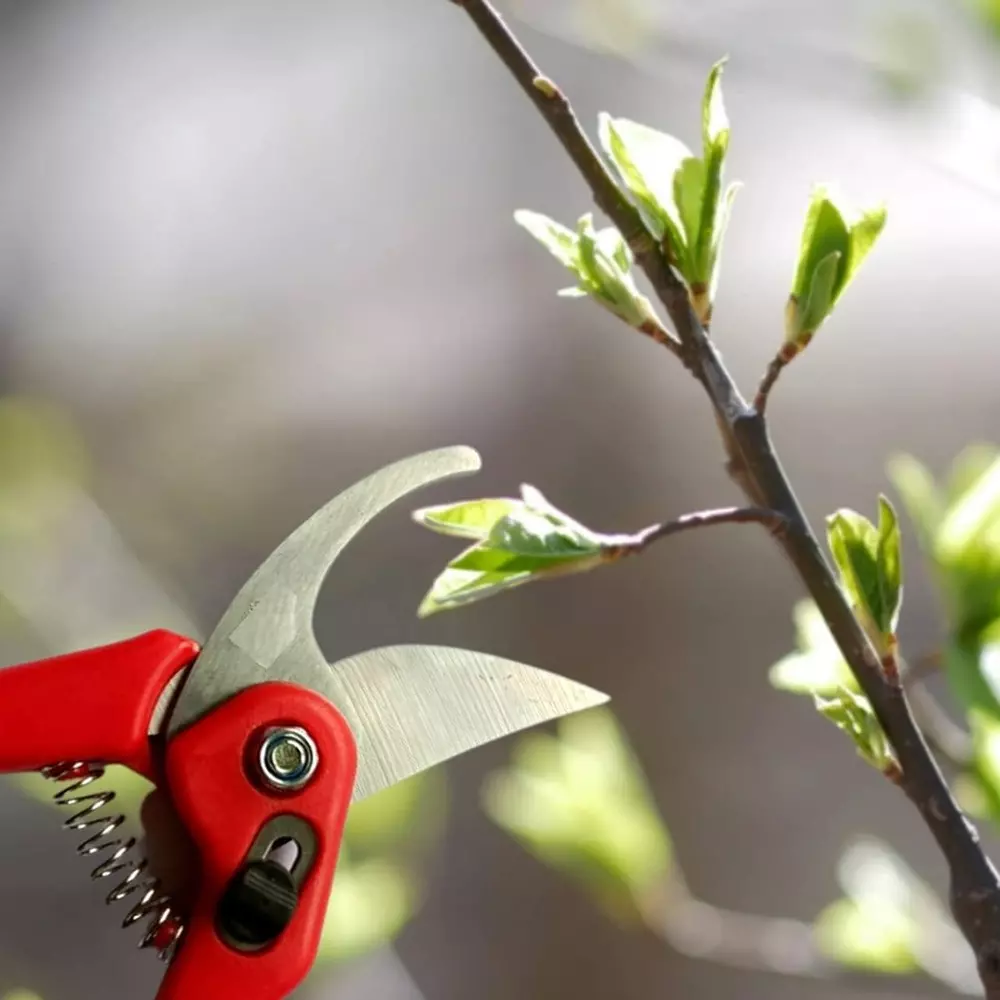 yuvcon-garden-pruner-stainless-steel-with-safety-lock-and-replaceable-spring-flower-cutter-red
