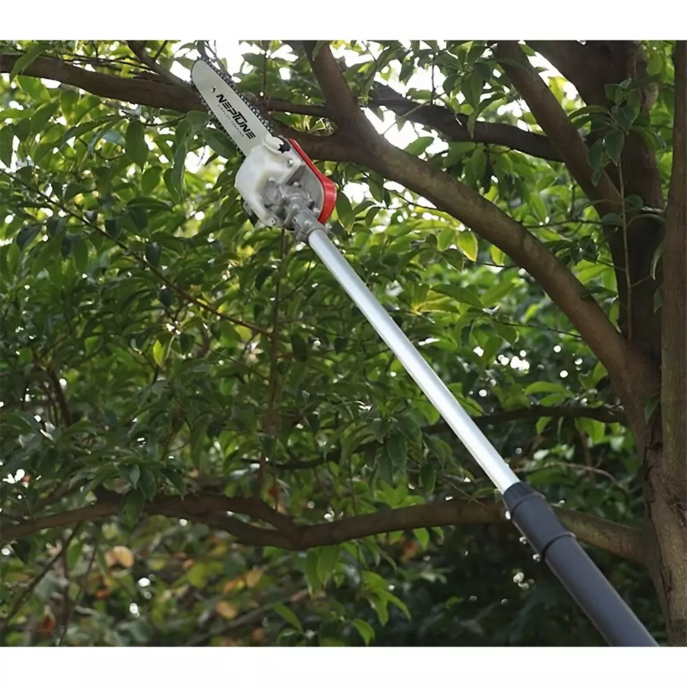 neptune-telescopic-tree-pole-pruner-26-cc-petrol-engine-with-12-inch-3048-mm-cutting-bar-for-forestry-lawn-garden-pruning