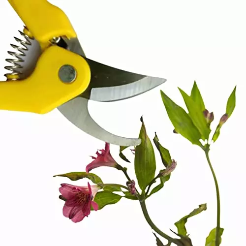 yuvcon-stainless-steel-plant-cutter-with-safety-lock-and-replaceable-spring-for-garden-pruning-use