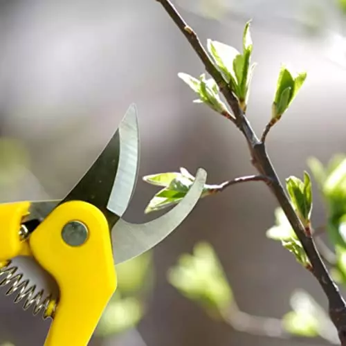 yuvcon-stainless-steel-plant-cutter-with-safety-lock-and-replaceable-spring-for-garden-pruning-use
