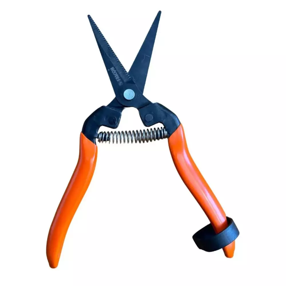 Falcon Fruit Pruner Cutter Black & Orange 20 cm Length Carbon Steel for Gardening & Agricultural Use, FBT-45 (Pack of 100 Pcs)