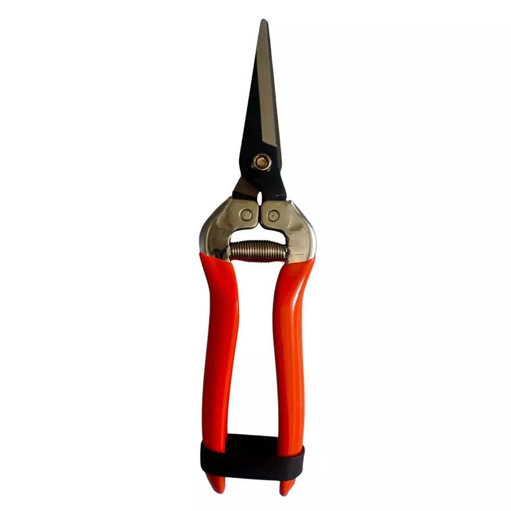 Yuvcon Fruit Snips Scissor Stainless Steel with Non Slip Grip for Harvesting Fruits and Herbs