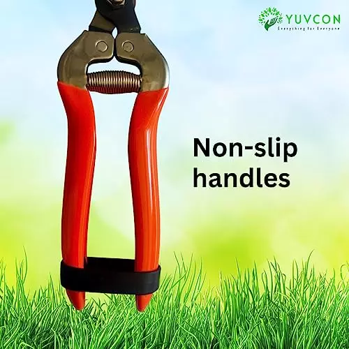 yuvcon-stainless-steel-fruit-snips-scissor-with-non-slip-grip-for-harvesting-fruits-and-herbs