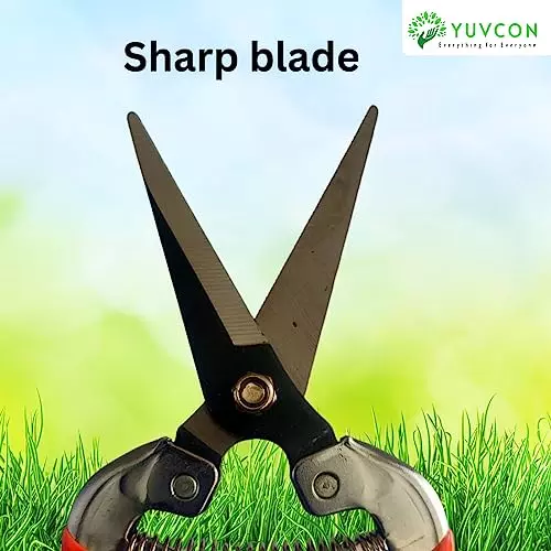 yuvcon-stainless-steel-fruit-snips-scissor-with-non-slip-grip-for-harvesting-fruits-and-herbs