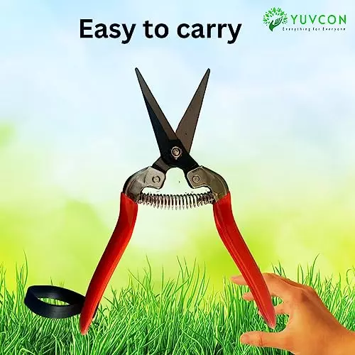 yuvcon-stainless-steel-fruit-snips-scissor-with-non-slip-grip-for-harvesting-fruits-and-herbs