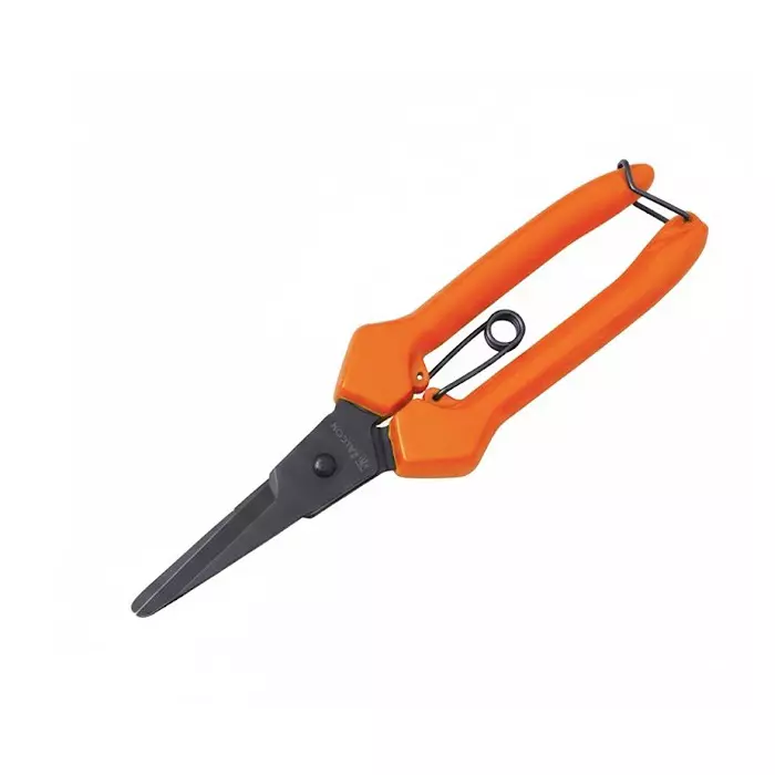 Falcon Fruit Pruner Cutter Black & Orange 19 cm Length Steel for Gardening & Agricultural Use, FBT-40 (Pack of 100 Pcs)
