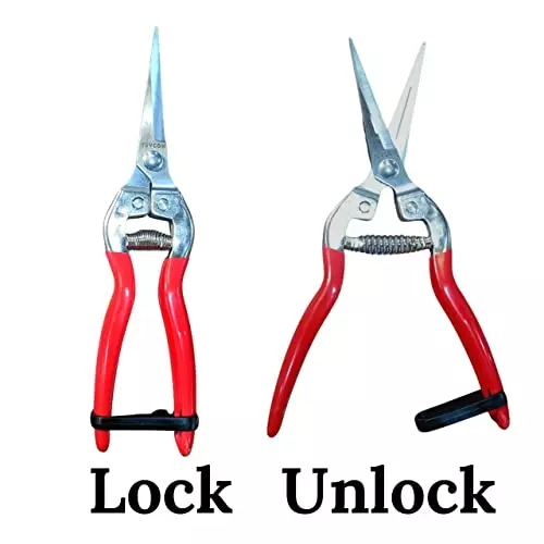 yuvismart-stainless-steel-fruit-snip-pruning-shears-with-non-slip-vinyl-grip-for-garden-use