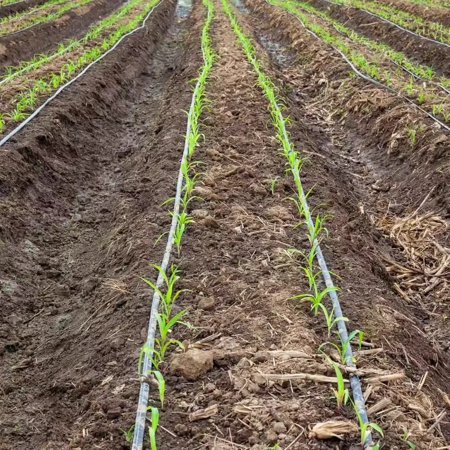 singhal-drip-irrigation-pipe-uv-stabilized-high-quality-polyethylene-16-mm-x-5-m-black