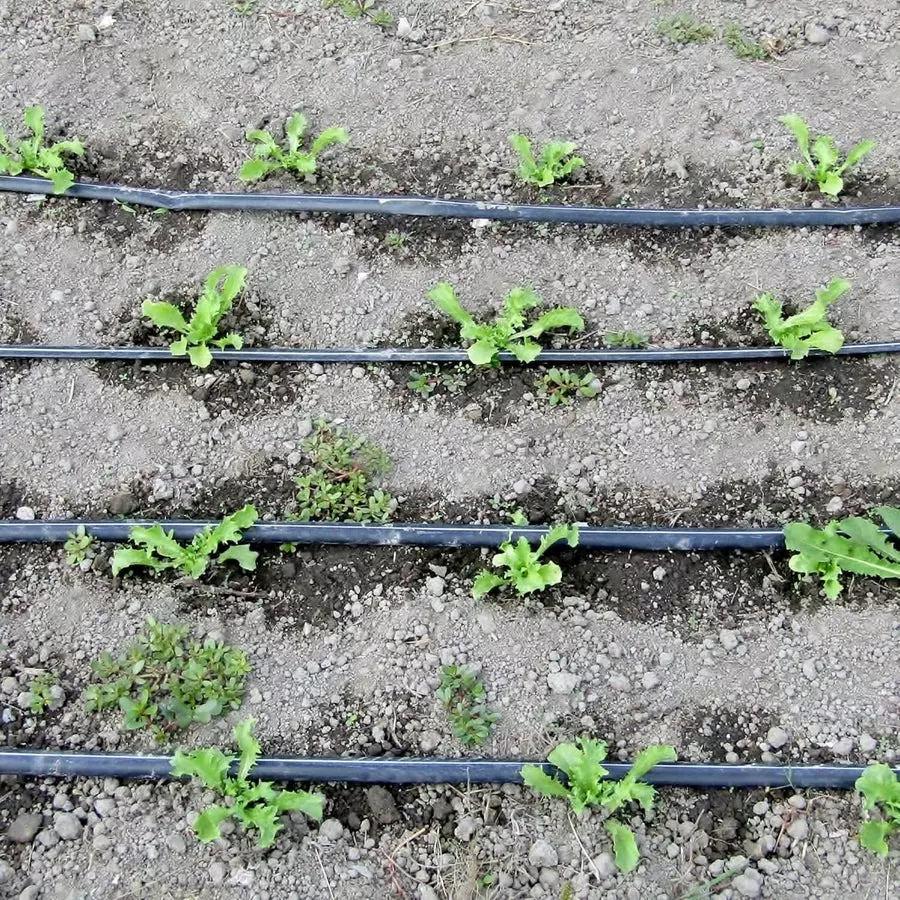singhal-drip-irrigation-pipe-uv-stabilized-high-quality-polyethylene-20-mm-x-5-m-black