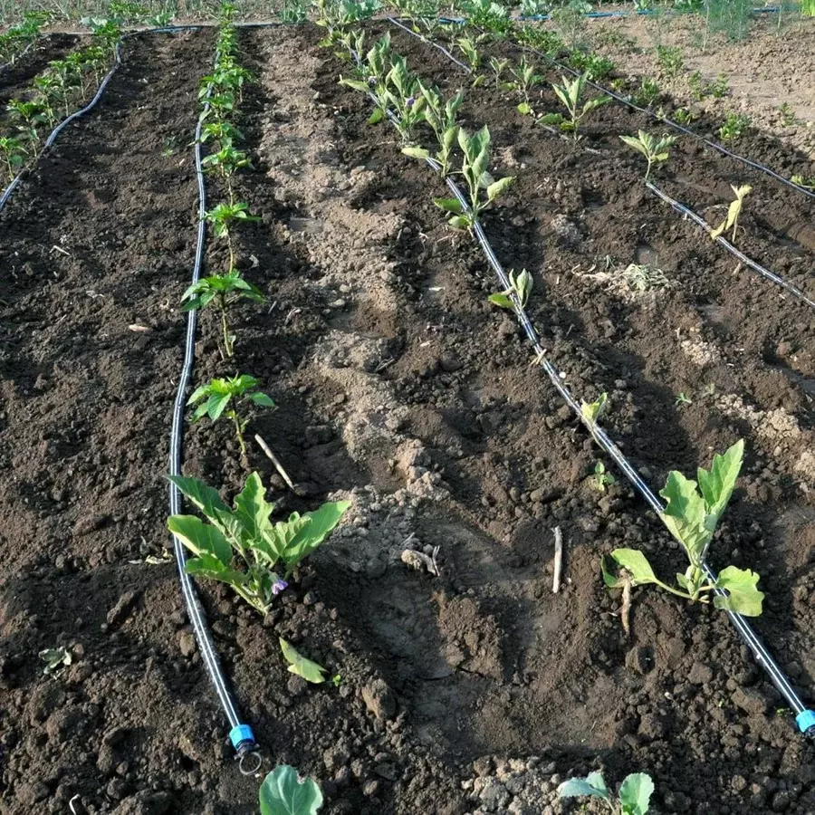 singhal-drip-irrigation-pipe-uv-stabilized-high-quality-polyethylene-20-mm-x-50-m-black