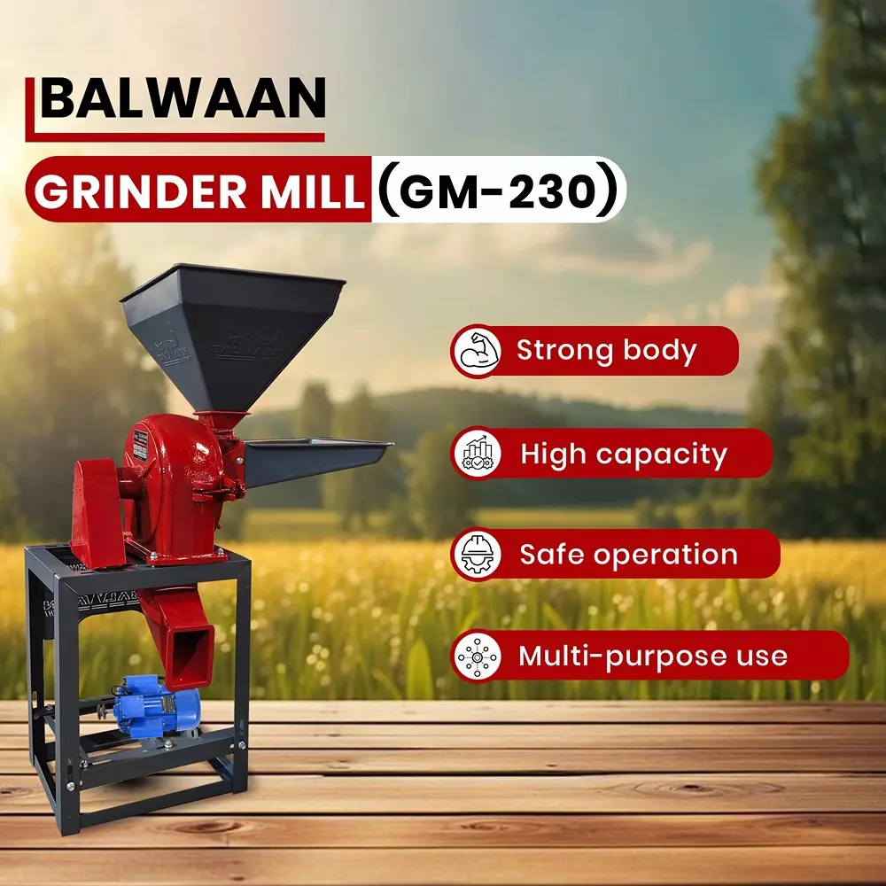 balwaan-grinder-mill-casting-gm-230