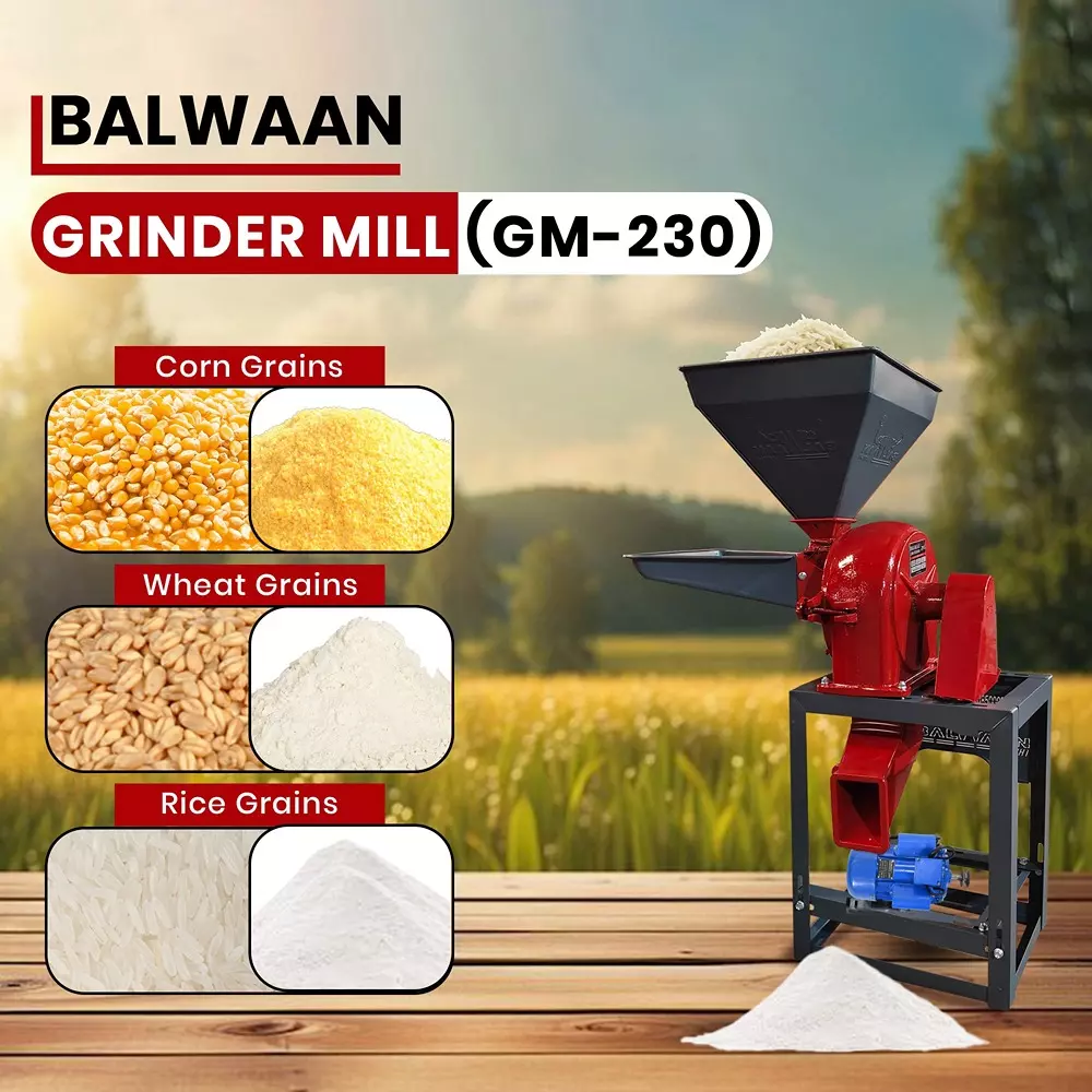 balwaan-grinder-mill-casting-gm-230