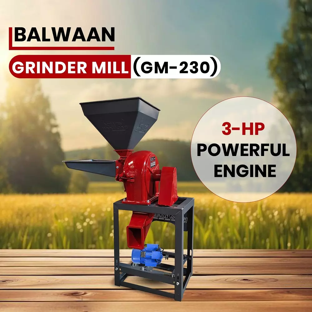balwaan-grinder-mill-casting-gm-230