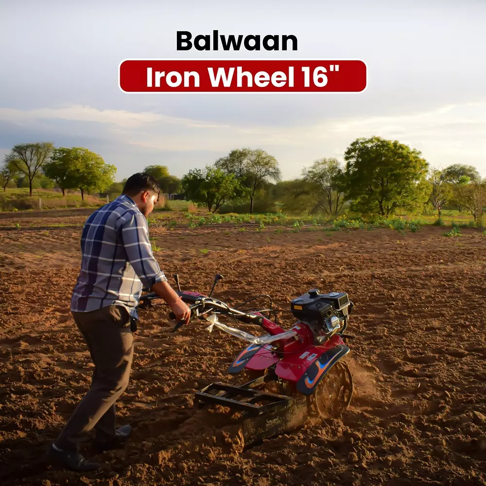 balwaan-heavy-duty-iron-wheel-set-400-mm-16-inch-size-round-shape-black