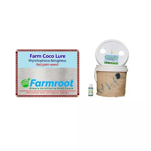 Farmroot Weatherproof and Non-Toxic Farm Red Palm Lure with Activator & Bucket Trap Plastic, FR123474 (Pack of 3 Pcs)