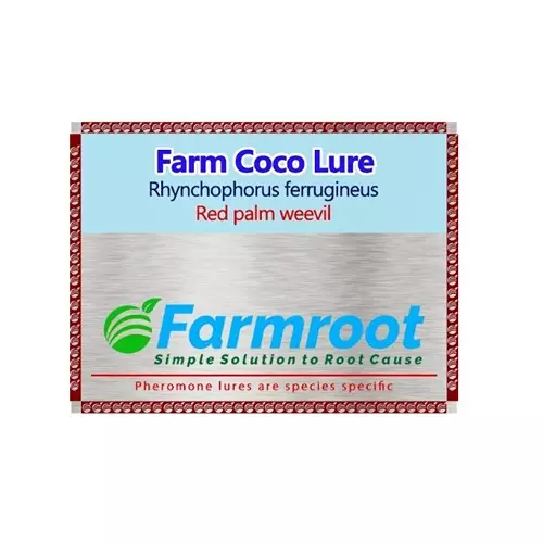 farmroot-weatherproof-and-non-toxic-farm-coco-red-palm-weevil-lure-without-trap-plastic-fr123482-pack-of-3-pcs