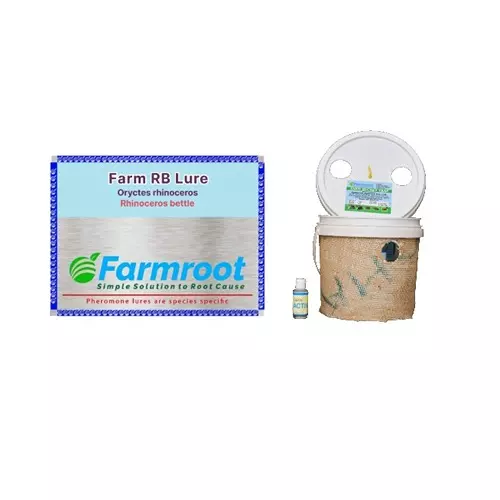 Farmroot Weatherproof and Non-Toxic Farm Rhinoceros Bettle Lure with Activator & Bucket Trap Plastic, FR123475 (Pack of 5 Pcs)