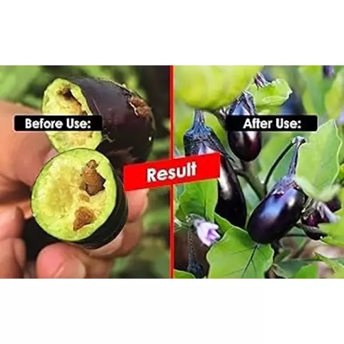 farmroot-weatherproof-and-non-toxic-farm-leucinoide-lure-without-trap-plastic-fr123484-pack-of-50-pcs