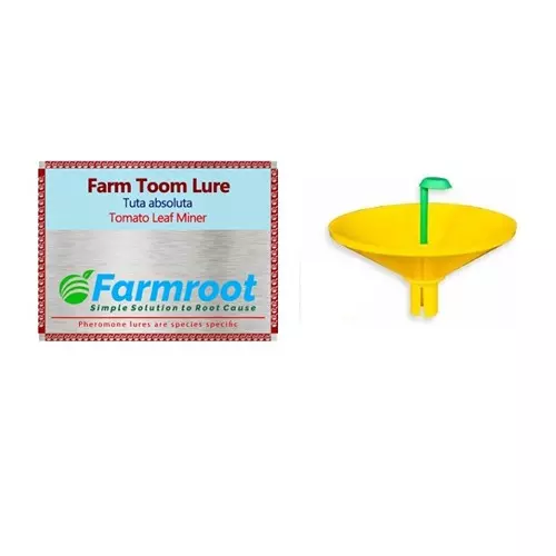 Farmroot Weatherproof and Non-Toxic Farm Toom Lure with Water Trap Plastic, FR123472 (Pack of 3 Pcs)
