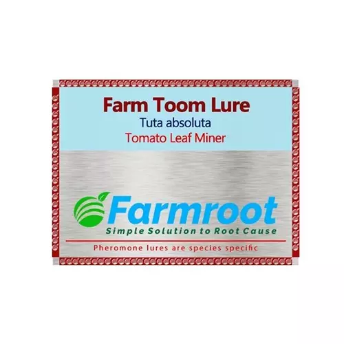 Farmroot Weatherproof and Non-Toxic Farm Toom (Tuta Absoluta) Lure without Trap Plastic, FR123479 (Pack of 3 Pcs)