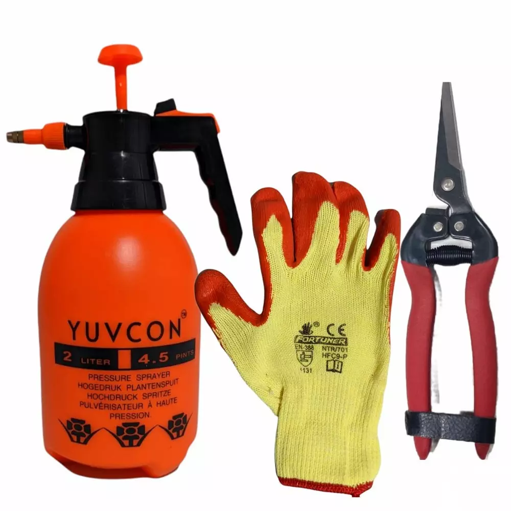 Yuvismart Garden Pressure Sprayer Combo 2 L Capacity with Hand Gloves and Fruit Snips for Gardening Use
